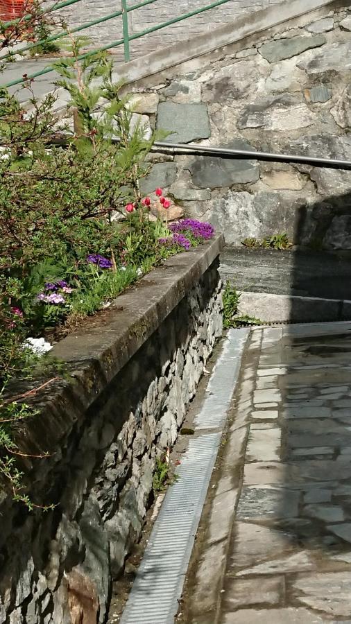 B&B Maison Odille Valtournenche Bagian luar foto