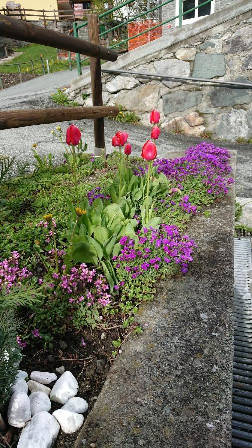 B&B Maison Odille Valtournenche Bagian luar foto