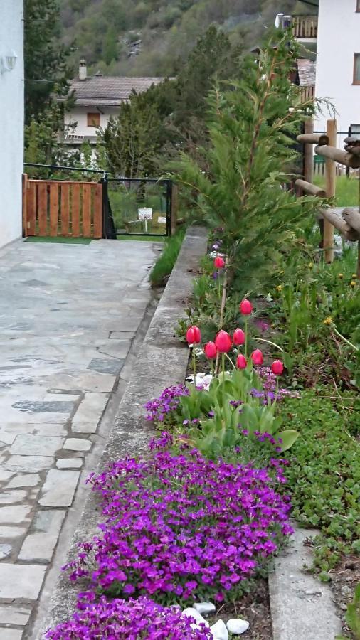 B&B Maison Odille Valtournenche Bagian luar foto