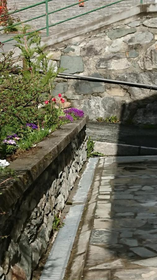 B&B Maison Odille Valtournenche Bagian luar foto